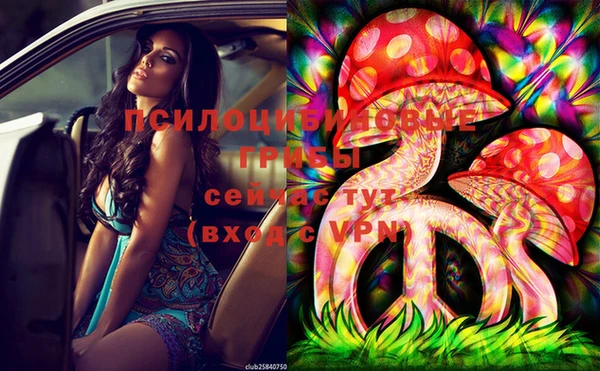 apvp Нея