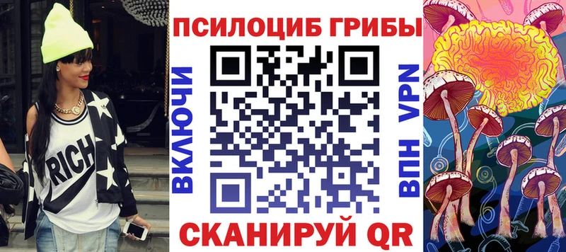 Псилоцибиновые грибы Cubensis Альметьевск