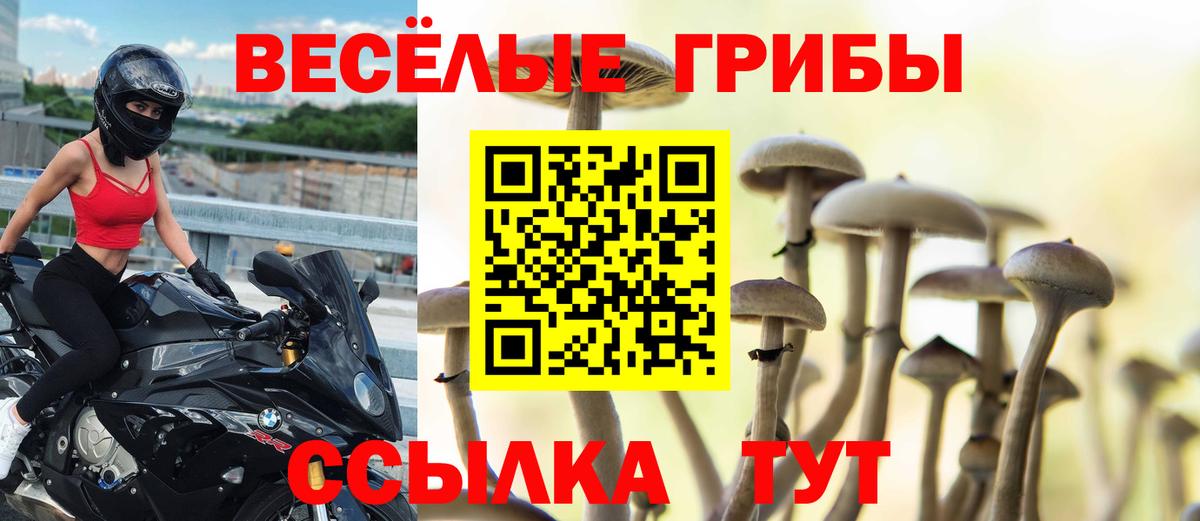 Псилоцибиновые грибы Psilocybe Альметьевск